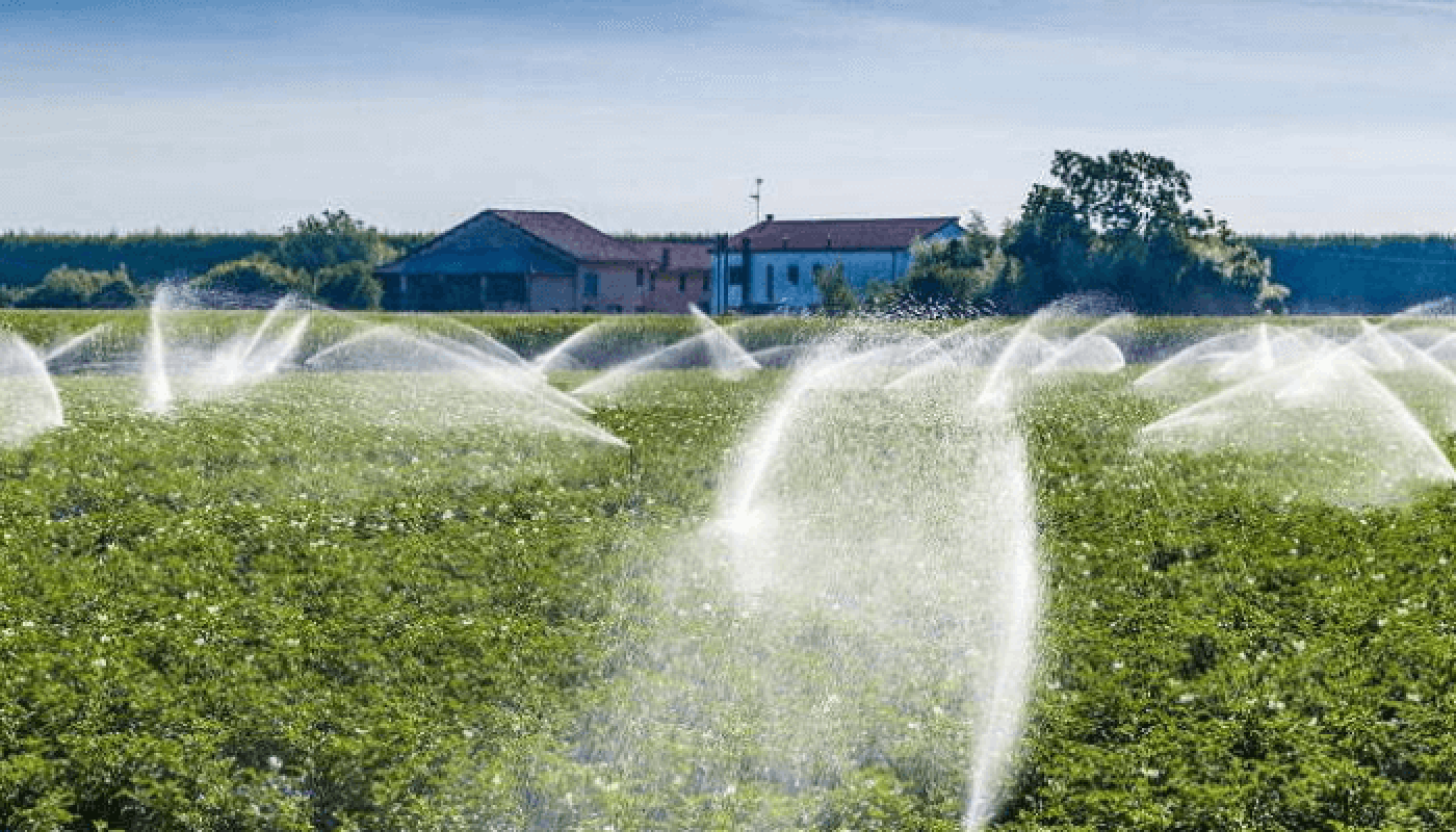 FG to invest in irrigation system to boost food production - Agricultural Exports