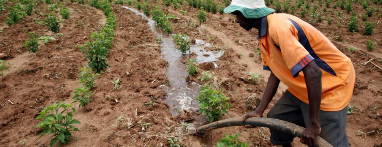 Global Environment Facility approves funding to support FAO-led projects in Africa and Latin America - Agricultural Exports