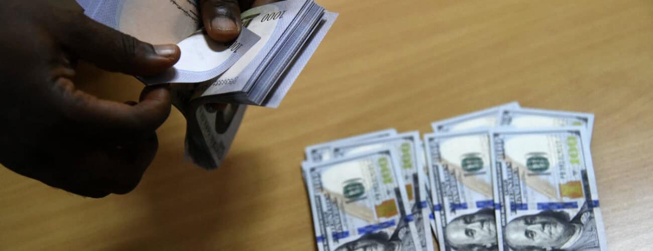 Nigeria's new foreign exchange policy is good news - Agricultural Exports
