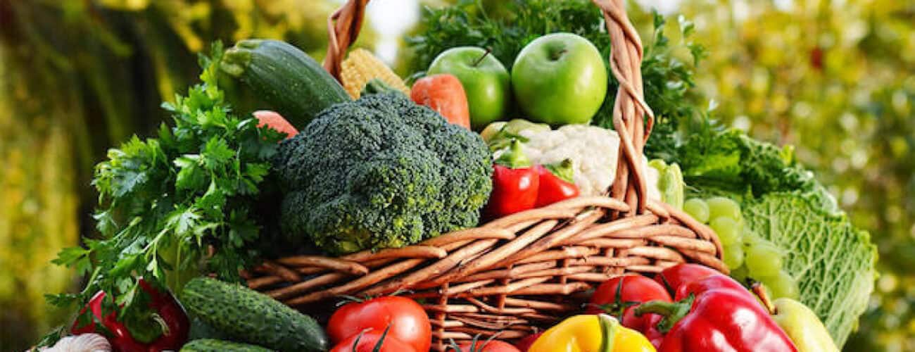 Botswana’s import ban on agricultural products bears fruit: President - Agricultural Exports