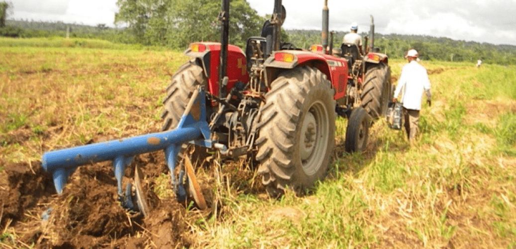 Minister task Nigerians on farming to improve economy - Agricultural Exports