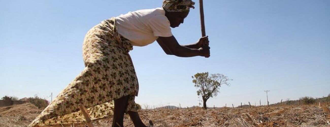 FGN, IFAD, distribute farm tools worth N25m to farmers in Enugu - Agricultural Exports