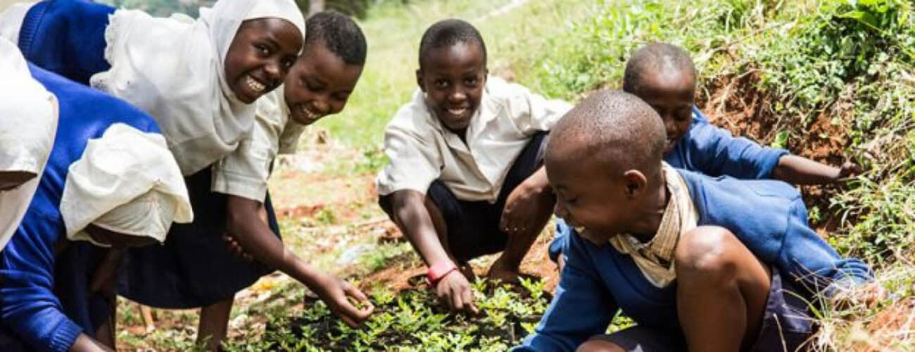‘More Youth Needed In Agriculture For Sustainability’ - Agricultural Exports