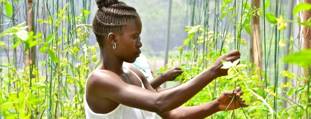 No perfect solution: Africa’s smallholder farmers must use both traditional and new practices - Agricultural Exports