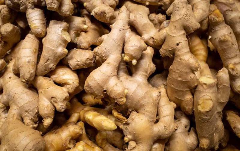 Premier Agro Exports Nigeria | Quality Agricultural Produce for Global Markets