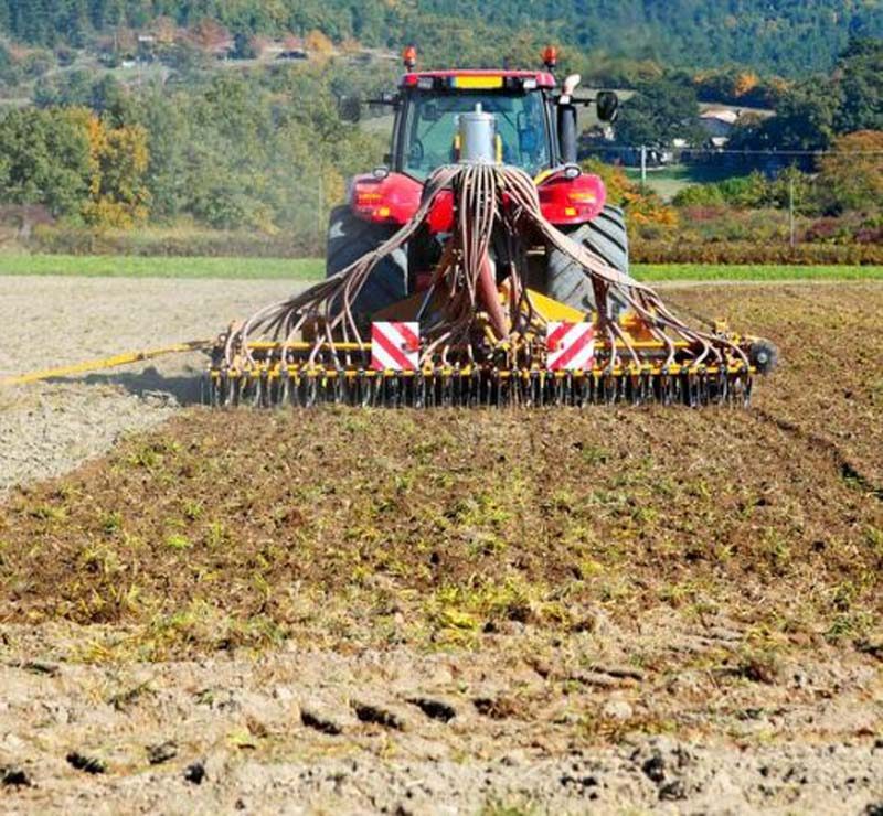Premier%20Agro%20Exports%20Nigeria%20|%20Quality%20Agricultural%20Produce%20for%20Global%20Markets