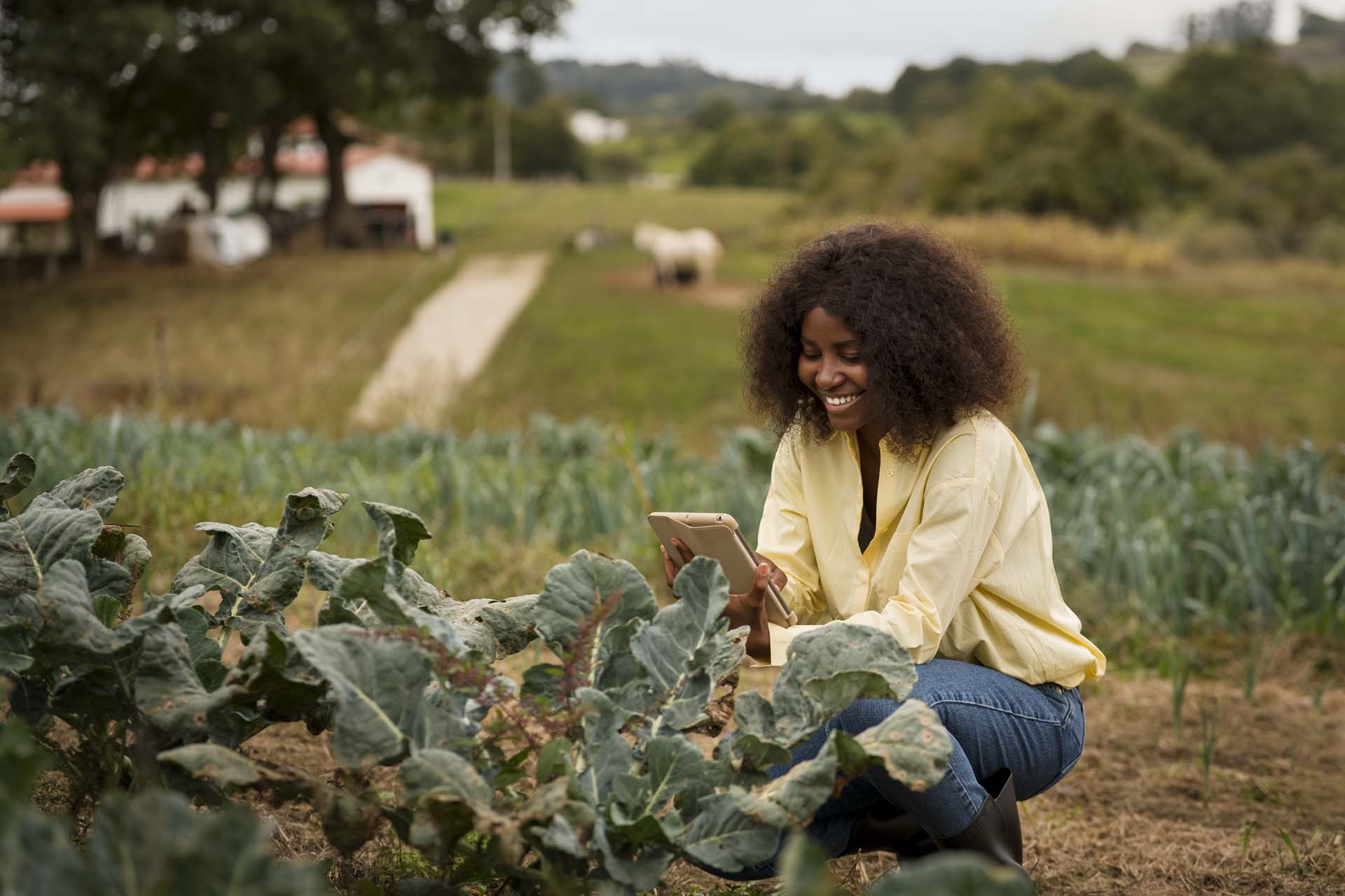 Premier%20Agro%20Exports%20Nigeria%20|%20Quality%20Agricultural%20Produce%20for%20Global%20Markets