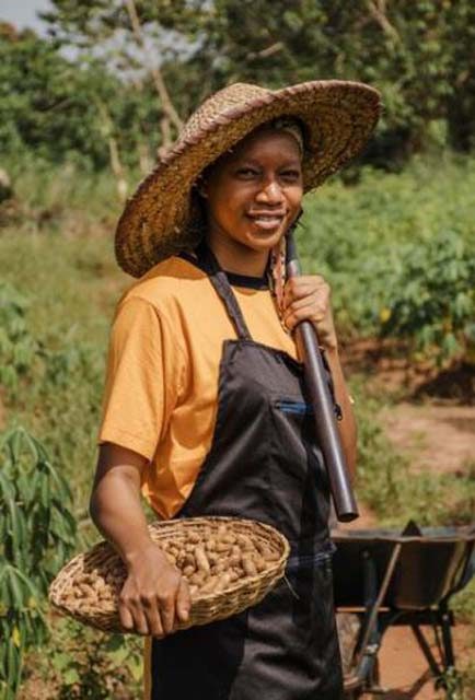 Premier%20Agro%20Exports%20Nigeria%20|%20Quality%20Agricultural%20Produce%20for%20Global%20Markets