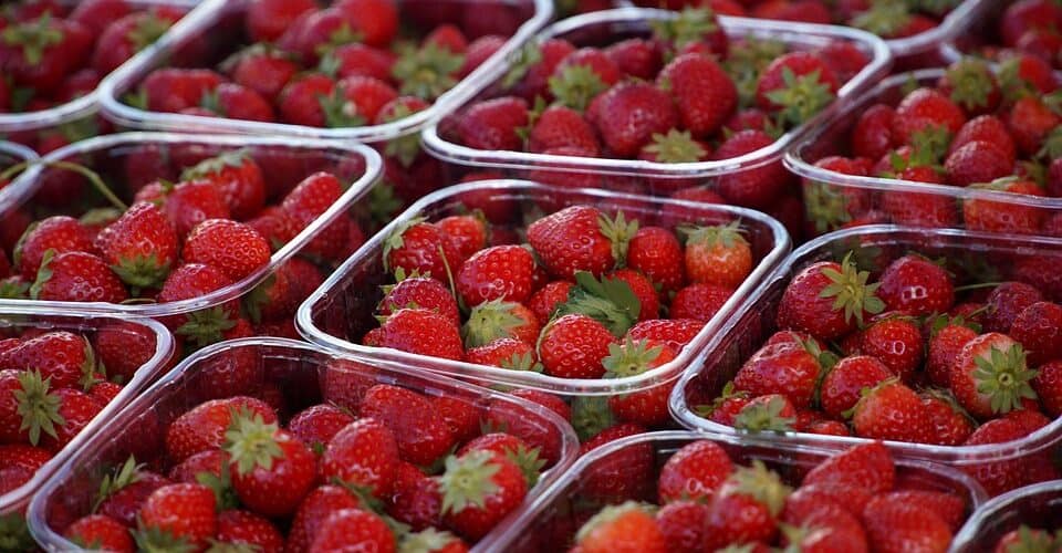 Traditional vs. Modern Farming: Finding the Balance in Nigeria's Agri-Food System - Agricultural Exports