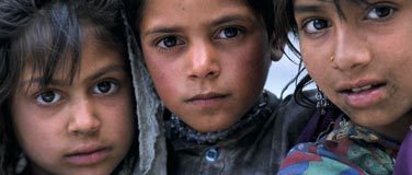 african export hub seamless global logistics