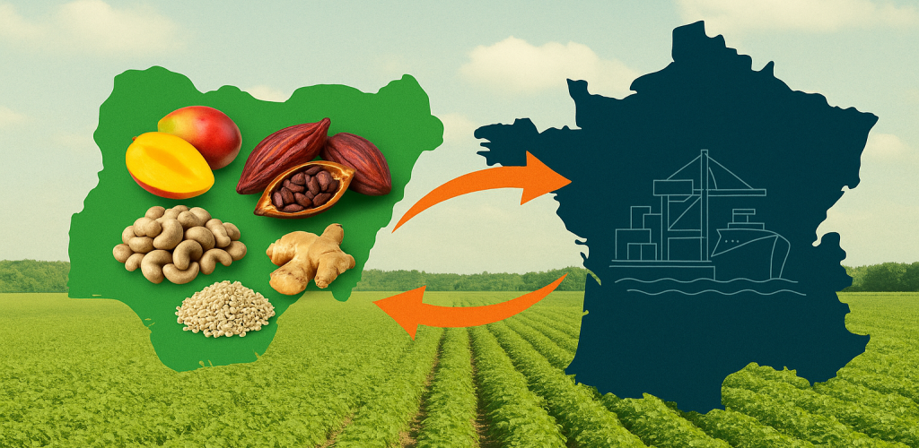 import export data nigeria market insights