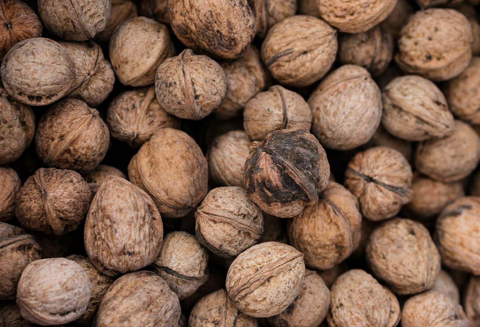 natural cocoa butter export nigerian skincare ingredient