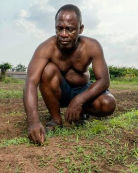 Premier Agro Exports Nigeria | Quality Agricultural Produce for Global Markets